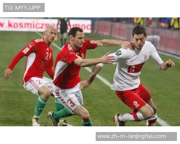 丹麦与波兰足球对决前瞻及胜负预测分析